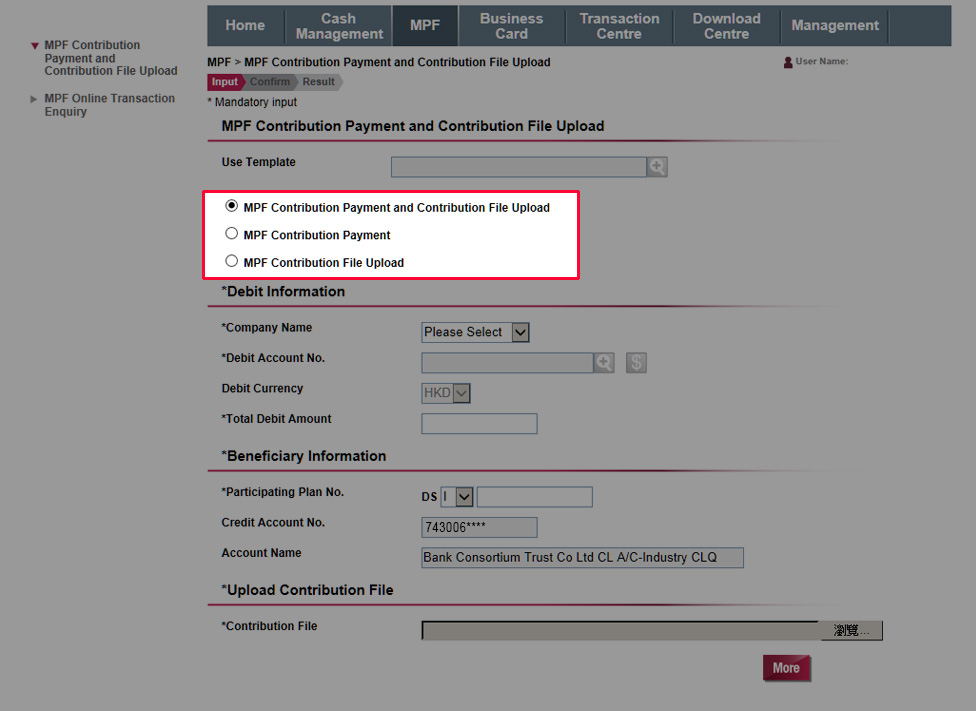 Select any one of the following options: 1. Make MPF Contribution Payment and Upload MPF Contribution File 2. Make MPF Contribution Payment only 3. Upload MPF Contribution File only.